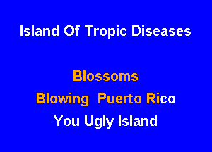Island Of Tropic Diseases

Blossoms
Blowing Puerto Rico
You Ugly Island