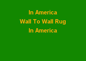 In America
Wall To Wall Rug

In America