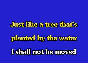 Just like a tree that's
planted by the water
I shall not be moved