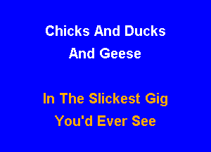 Chicks And Ducks
And Geese

In The Slickest Gig
You'd Ever See