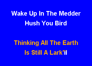 Wake Up In The Medder
Hush You Bird

Thinking All The Earth
Is Still A Lark'll
