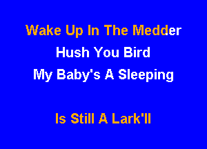 Wake Up In The Medder
Hush You Bird

My Baby's A Sleeping

Is Still A Lark'll
