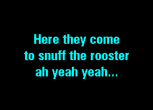 Here they come

to snuff the rooster
ah yeah yeah...