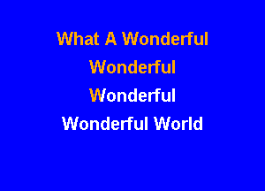 What A Wonderful
Wonderful
Wonderful

Wonderful World