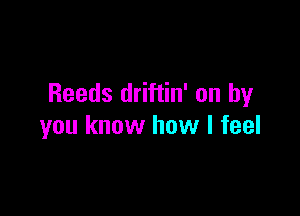 Reeds driftin' on by

you know how I feel