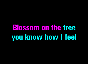 Blossom on the tree

you know how I feel