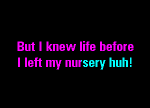 But I knew life before

I left my nursery huh!