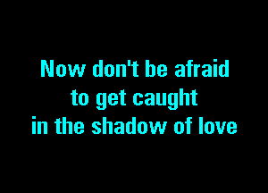 Now don't be afraid

to get caught
in the shadow of love