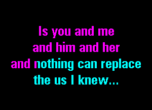 Is you and me
and him and her

and nothing can replace
the us I knew...