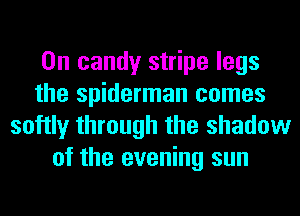 0n candy stripe legs
the spiderman comes
softly through the shadow
of the evening sun