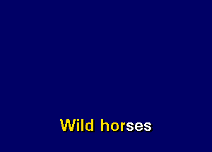 Wild horses