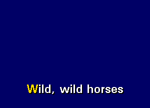 Wild, wild horses