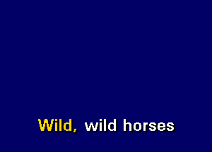 Wild, wild horses