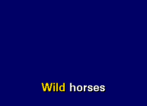 Wild horses