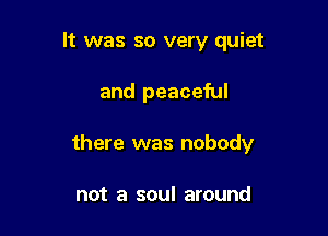 It was so very quiet

and peaceful

there was nobody

not a soul around