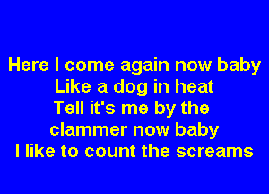 Here I come again now baby
Like a dog in heat
Tell it's me by the
clammer now baby

I like to count the screams