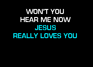 WON'T YOU
HEAR ME NOW
JESUS

REALLY LOVES YOU