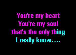 You're my heart
You're my soul

that's the only thing
I really know .....