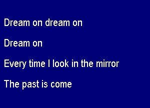 Dream on dream on
Dream on

Every time I look in the mirror

The past is come