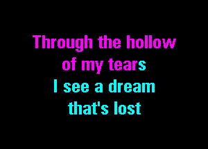 Through the hollow
of my tears

I see a dream
that's lost