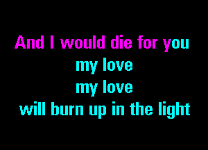 And I would die for you
my love

my love
will burn up in the light