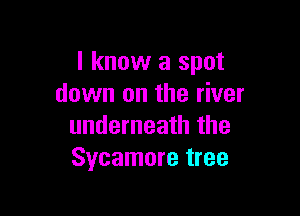 I know a spot
down on the river

underneath the
Sycamore tree
