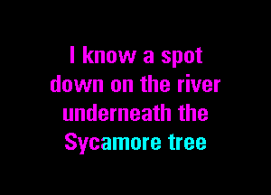 I know a spot
down on the river

underneath the
Sycamore tree