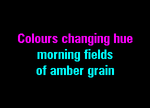 Colours changing hue

morning fields
of amber grain