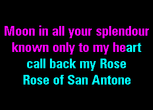 Moon in all your splendour
known only to my heart
call back my Rose
Rose of San Antone