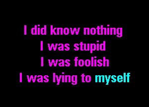 I did know nothing
I was stupid

I was foolish
I was lying to myself