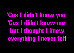 '00s I didn't know you
'00s I didn't know me

but I thought I knew
everything I never felt