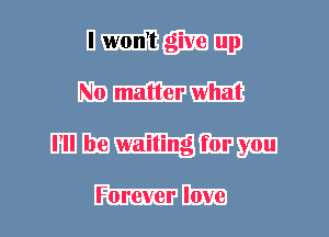 I won't give up
No matter what
I'll be waiting for you

Forever love