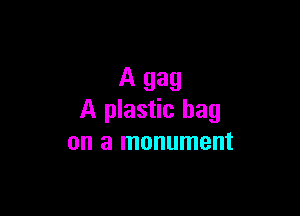 A 989

A plastic bag
on a monument