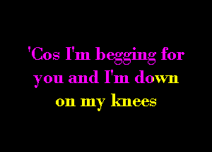 'Cos I'm begging for

you and I'm down

on my knees

g