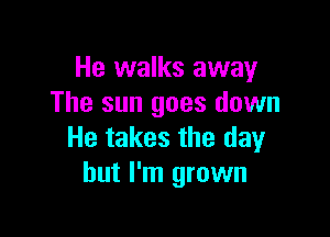 He walks away
The sun goes down

He takes the day
but I'm grown