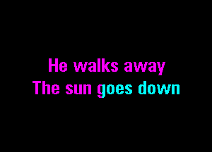 He walks away

The sun goes down