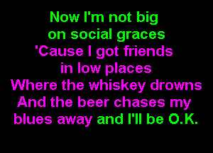 Now I'm not big
on social graces
'Cause I got friends
in low places
Where the whiskey drowns
And the beer chases my
blues away and I'll be O.K.