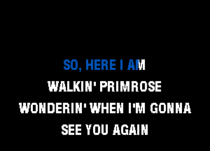 SO, HERE I AM

WALKIN' PRIMHOSE
WONDEBIH'WHEN I'M GONNA
SEE YOU AGAIN