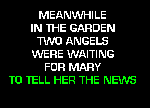 MEANVVHILE
IN THE GARDEN
TWO ANGELS
WERE WAITING
FOR MARY
TO TELL HER THE NEWS