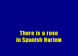 There is a rose
in Snanisn Harlem