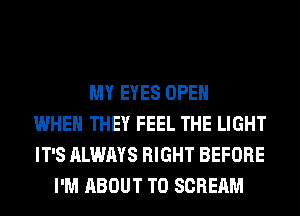 MY EYES OPEN
WHEN THEY FEEL THE LIGHT
IT'S ALWAYS RIGHT BEFORE
I'M ABOUT T0 SCREAM