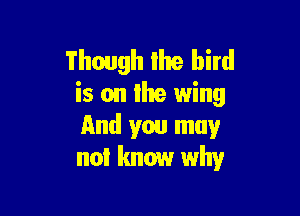 Though the bird
is on lhe wing

And you may
not know why