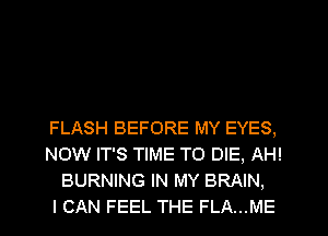 FLASH BEFORE MY EYES,
NOW IT'S TIME TO DIE, AH!
BURNING IN MY BRAIN,

I CAN FEEL THE FLA...ME
