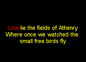 Low lie the fields of Athenry

Where once we watched the
small free birds fly