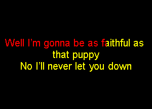 Well Pm gonna be as faithful as
that puppy

No HI never let you down