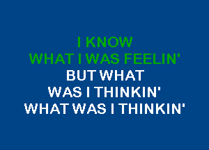 BUTWHAT
WAS l THINKIN'
WHAT WAS I THINKIN'