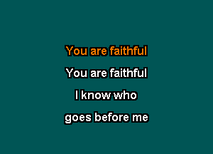 You are faithful
You are faithful

I know who

goes before me