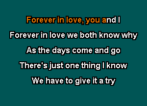 Forever in love, you and I
Forever in love we both know why

As the days come and go

There's just one thing I know

We have to give it a try