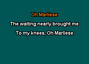 0h Marliese

The waiting nearly brought me

To my knees, 0h Marliese