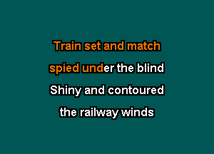Train set and match
spied underthe blind

Shiny and contoured

the railway winds
